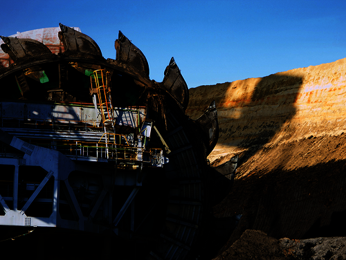 Foto: VanderWolf Images/ Shutterstock.com